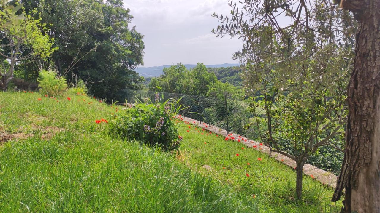 A 2 Passi Dal Lago Grotte di Castro Eksteriør bilde